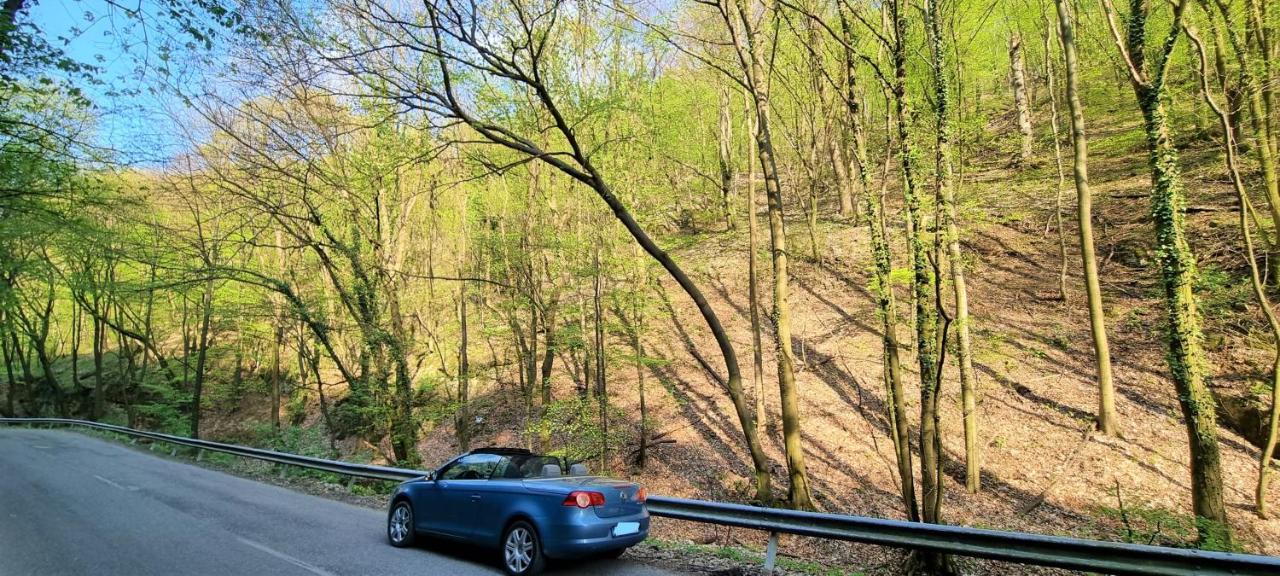 Hos-Cegledi Vendeghaz Miskolc -Oenallo Otthon, Mely Csak Az Oenoeke Екстериор снимка