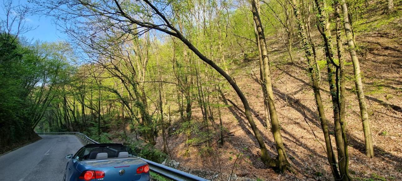 Hos-Cegledi Vendeghaz Miskolc -Oenallo Otthon, Mely Csak Az Oenoeke Екстериор снимка