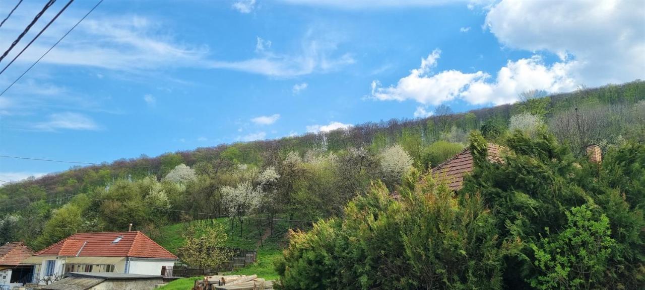 Hos-Cegledi Vendeghaz Miskolc -Oenallo Otthon, Mely Csak Az Oenoeke Екстериор снимка